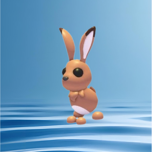 Hare