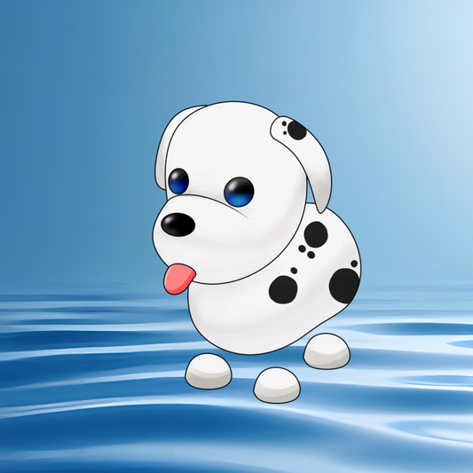 Dalmation